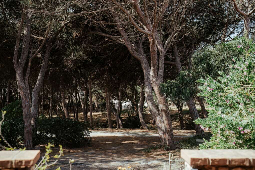 6a33d59aee6c5_1024x680